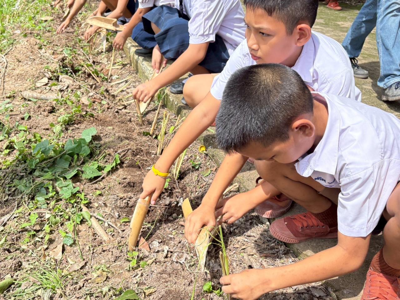 ภาพประกอบที่ 1