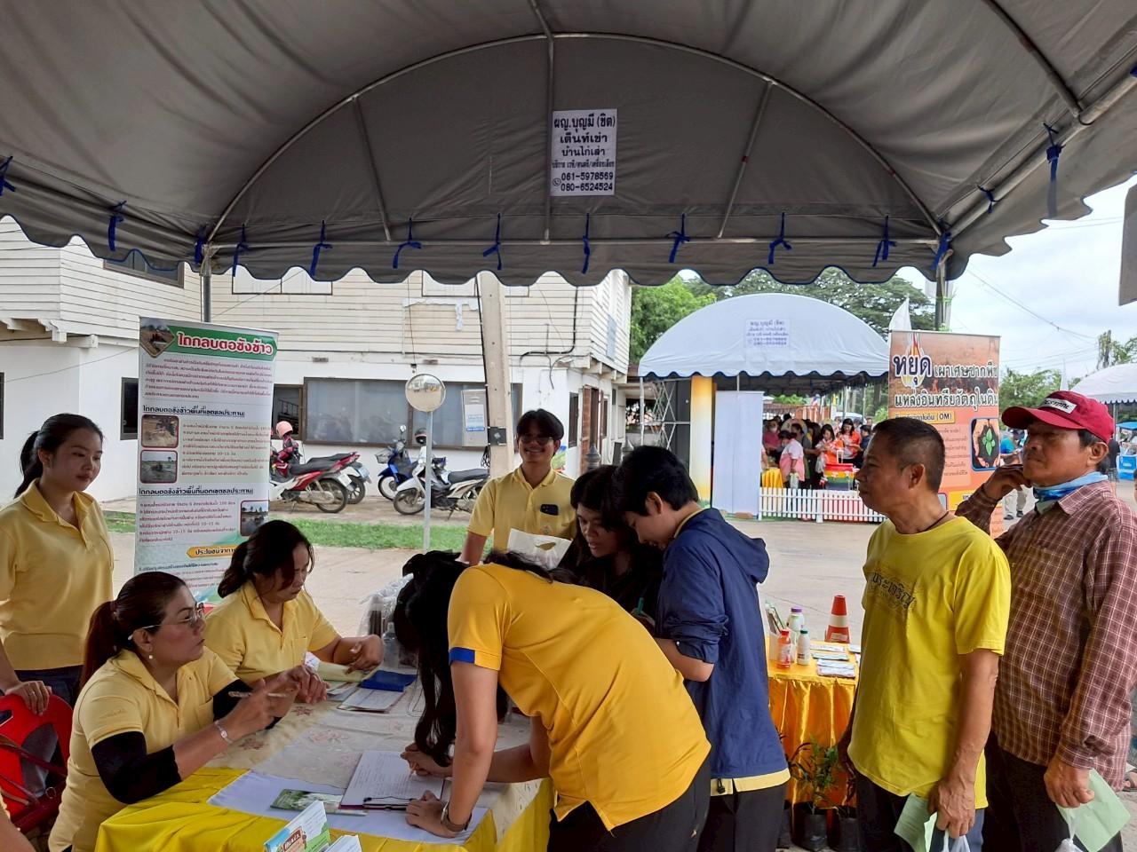 ภาพประกอบที่ 1