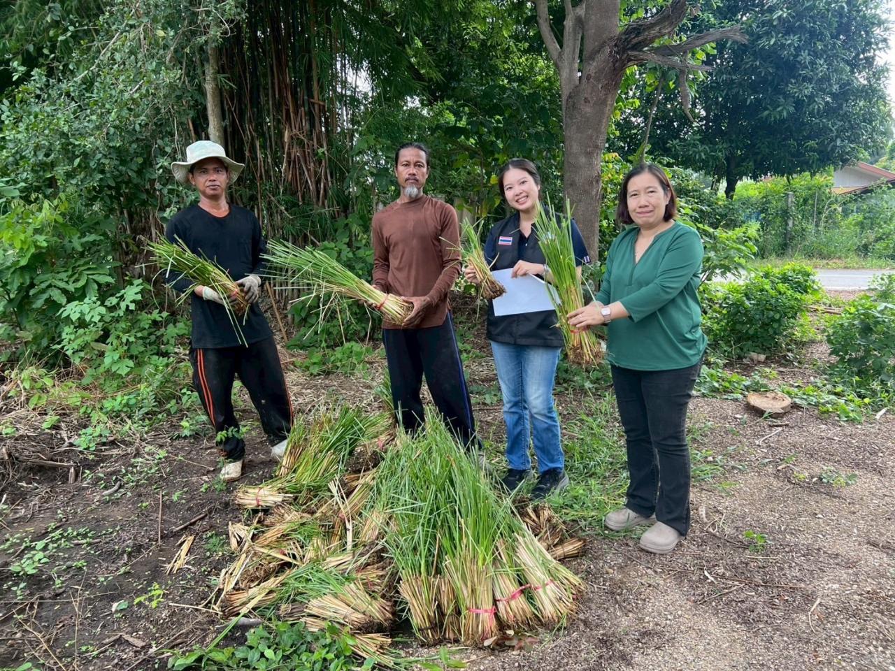 ภาพประกอบที่ 0