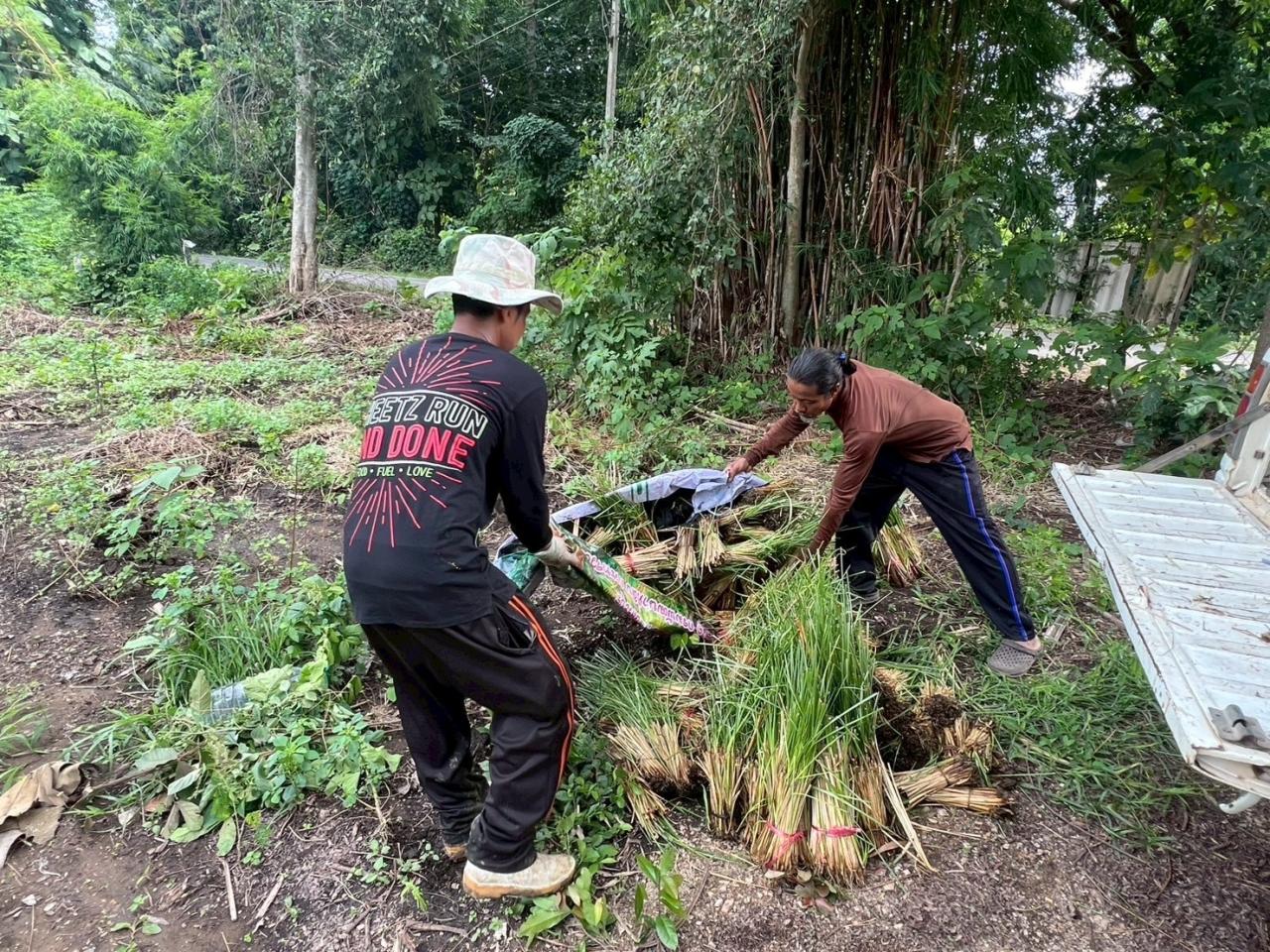 ภาพประกอบที่ 1