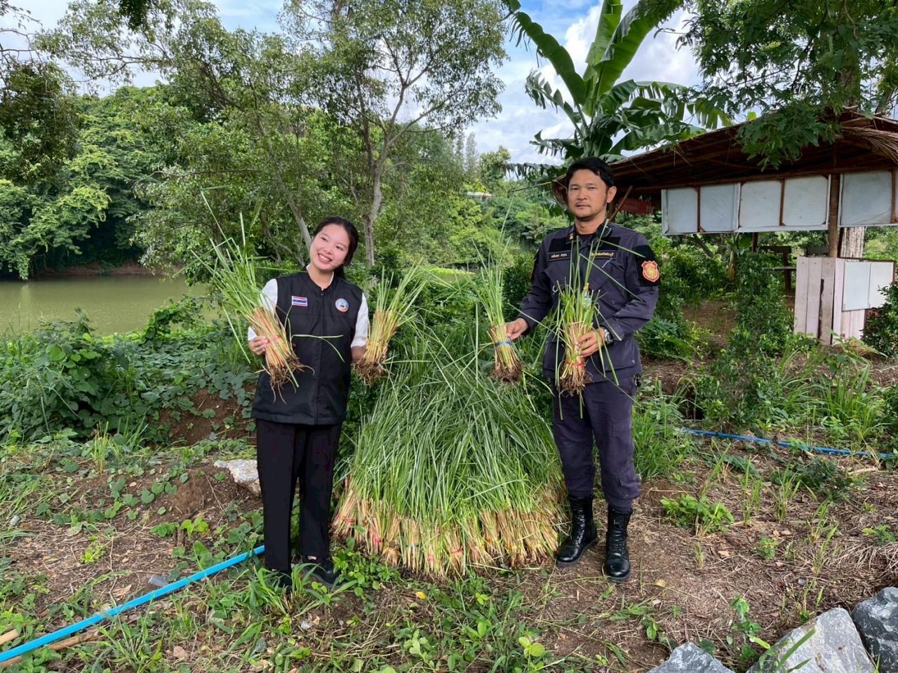 ภาพประกอบที่ 2