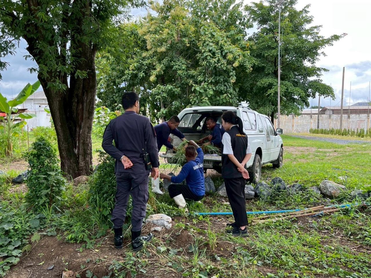 ภาพประกอบที่ 3