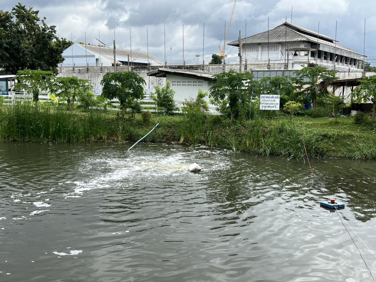 ภาพประกอบที่ 5