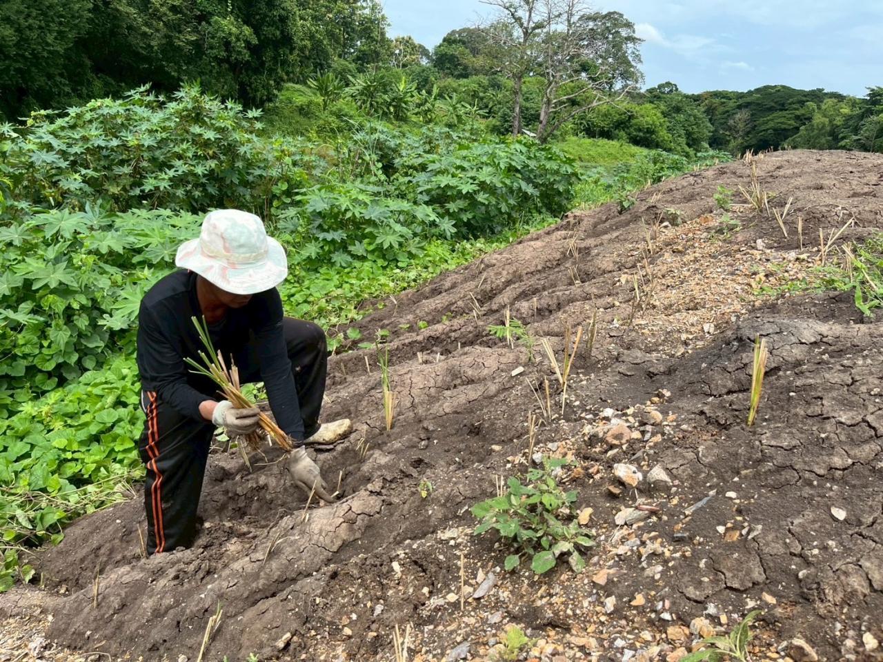 ภาพประกอบที่ 6