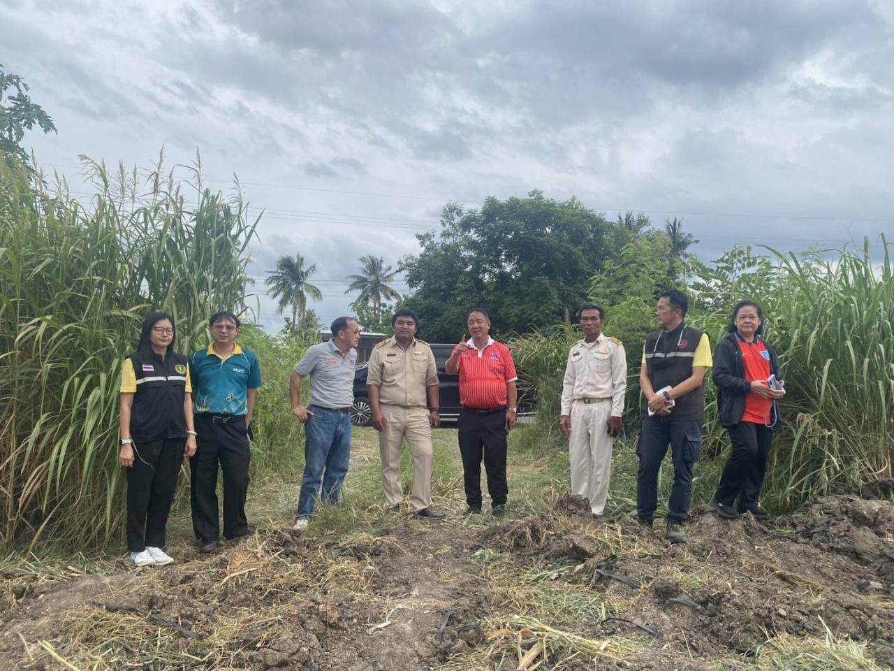 ภาพประกอบที่ 6