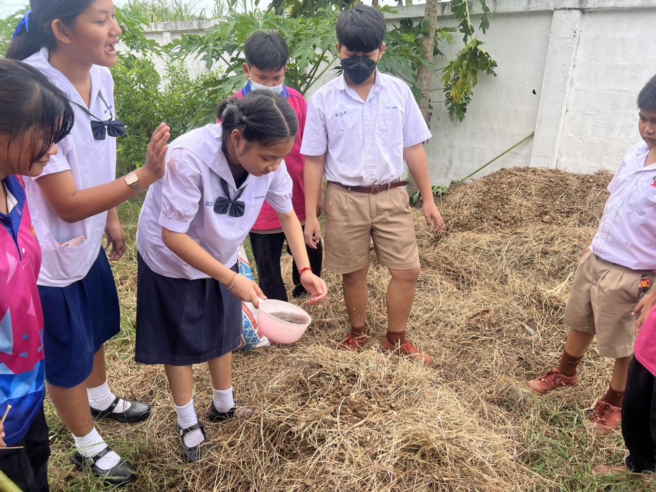 ภาพประกอบที่ 7