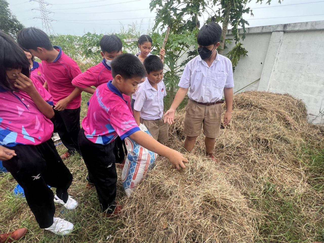 ภาพประกอบที่ 8