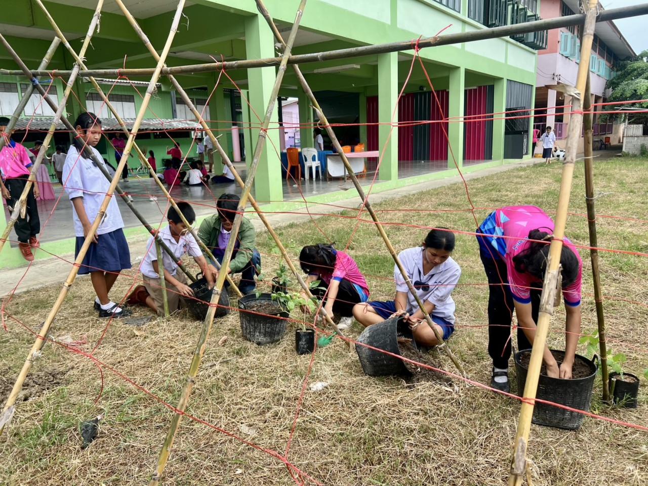 ภาพประกอบที่ 11