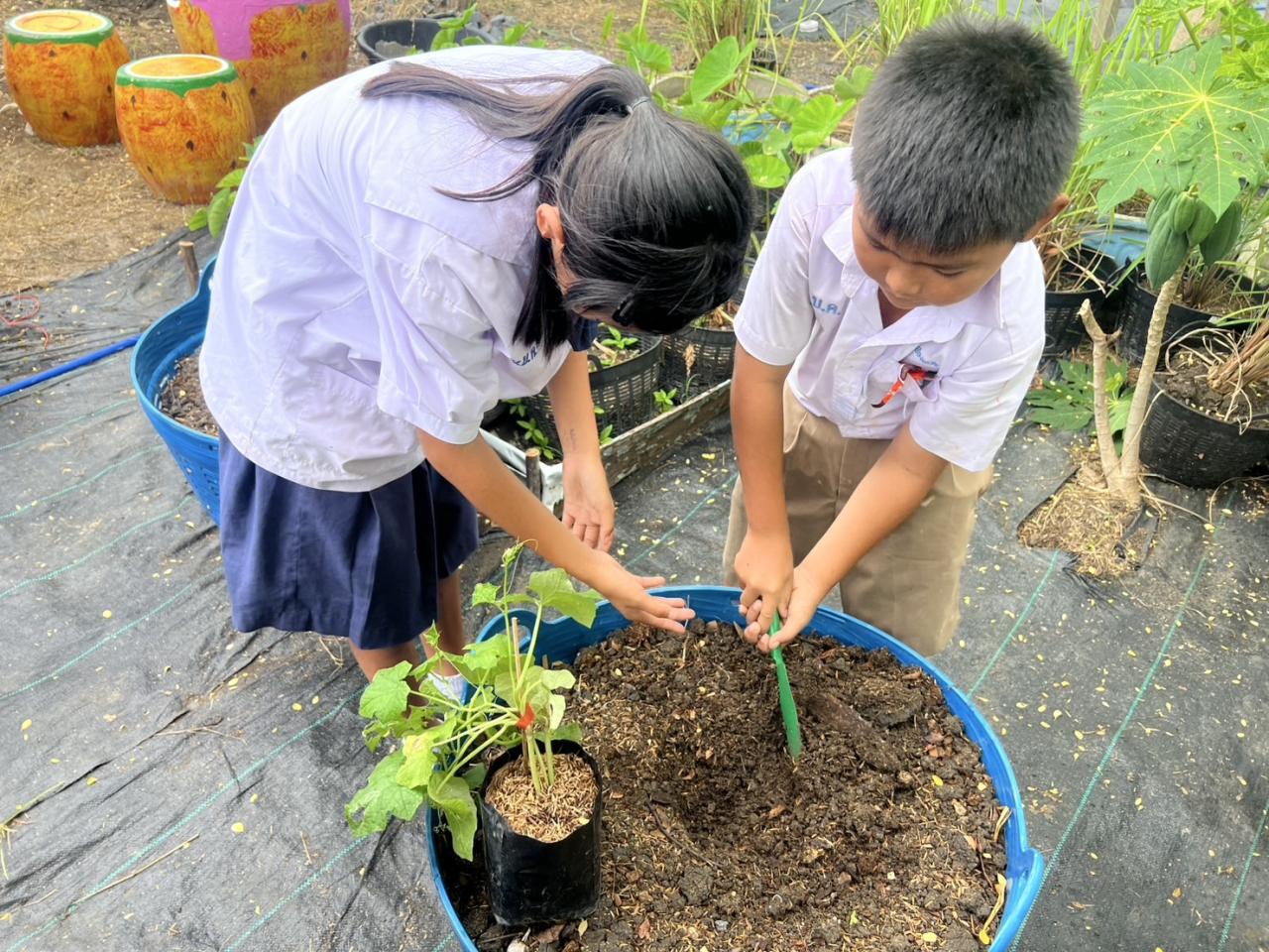 ภาพประกอบที่ 13