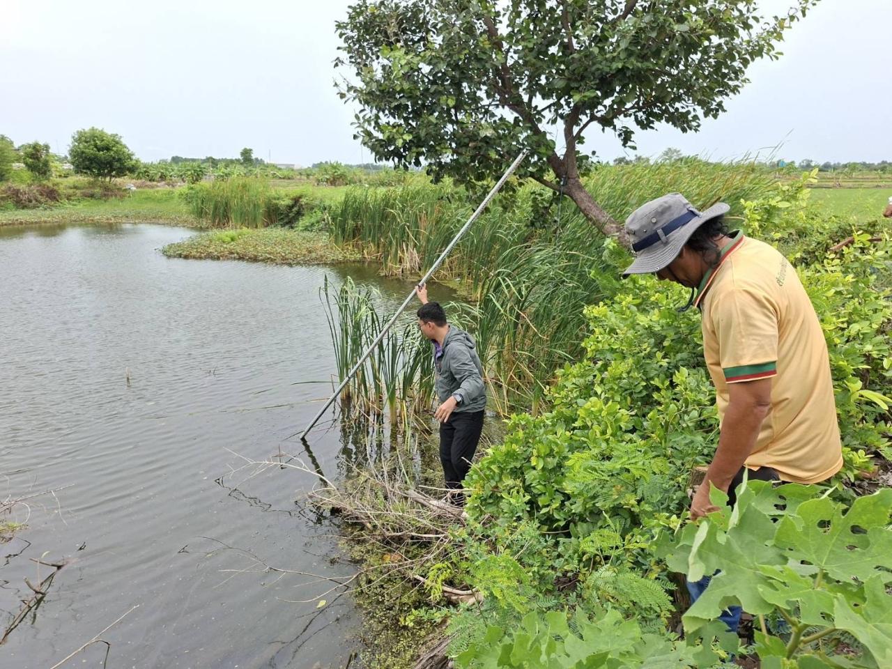 ภาพประกอบที่ 5