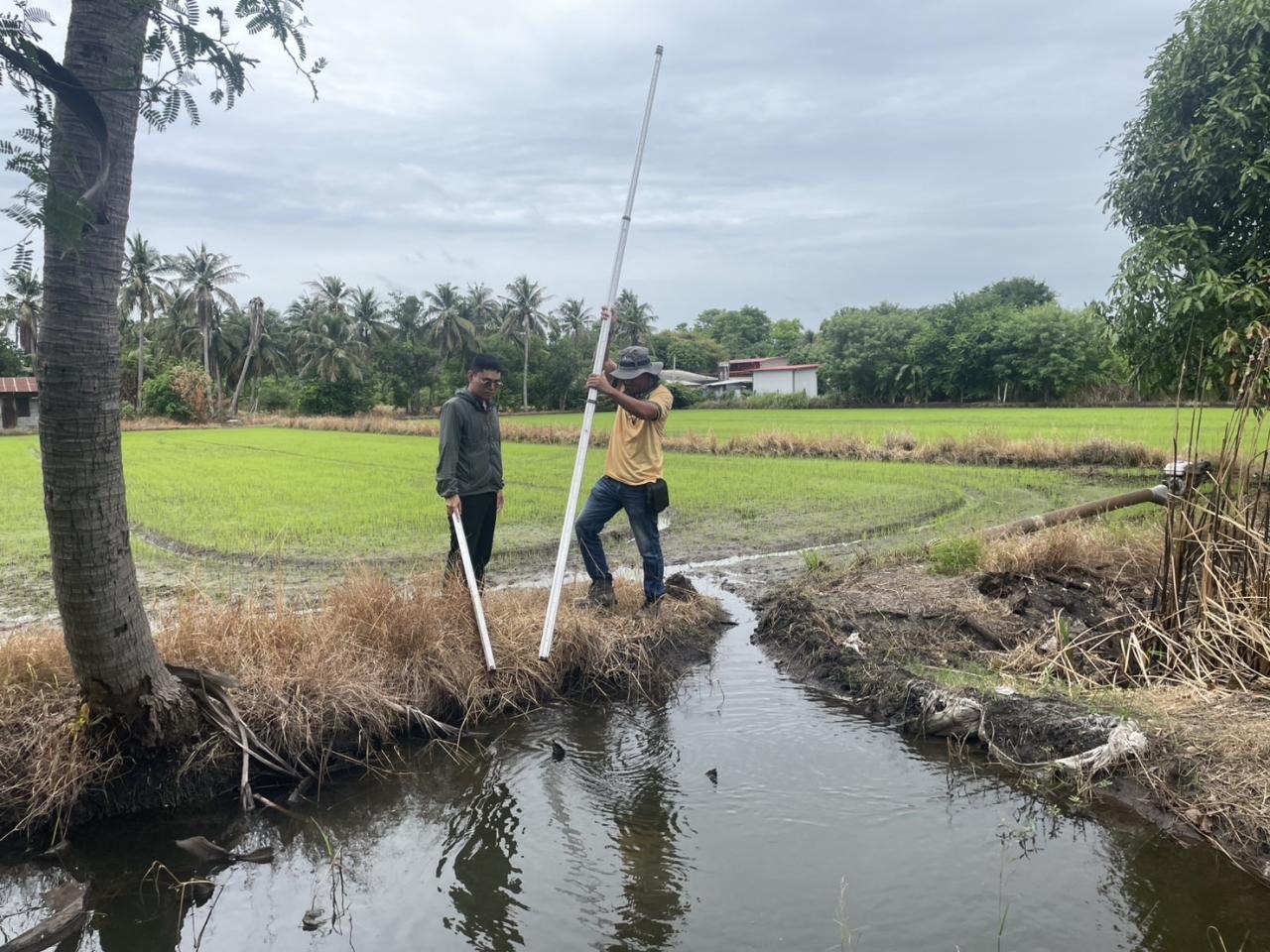 ภาพประกอบที่ 7
