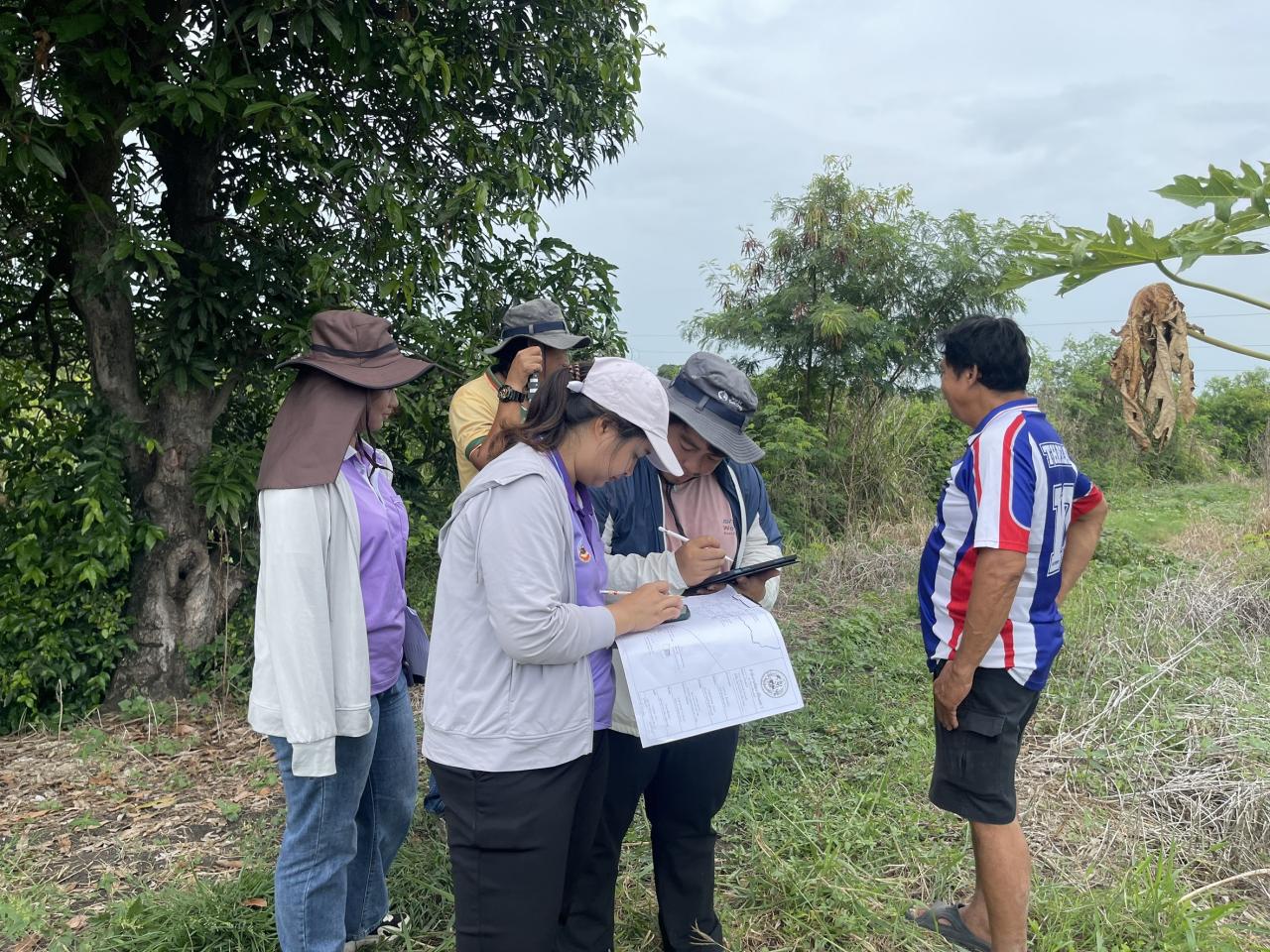 ภาพประกอบที่ 13