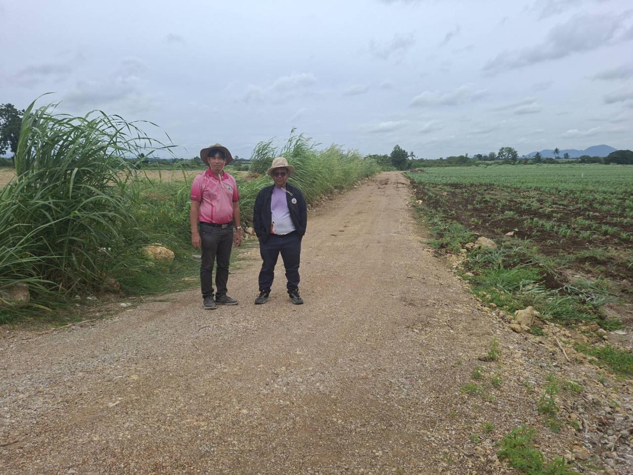 ภาพประกอบที่ 2