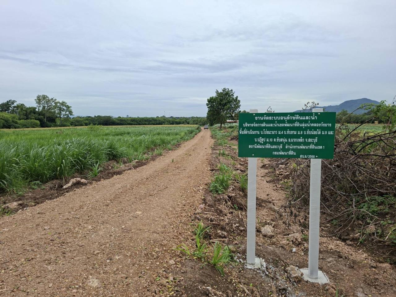 ภาพประกอบที่ 8