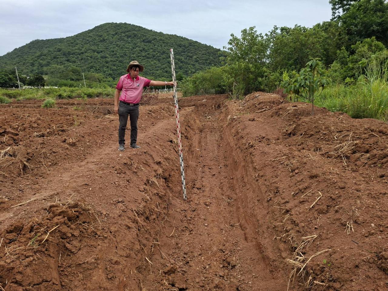 ภาพประกอบที่ 11