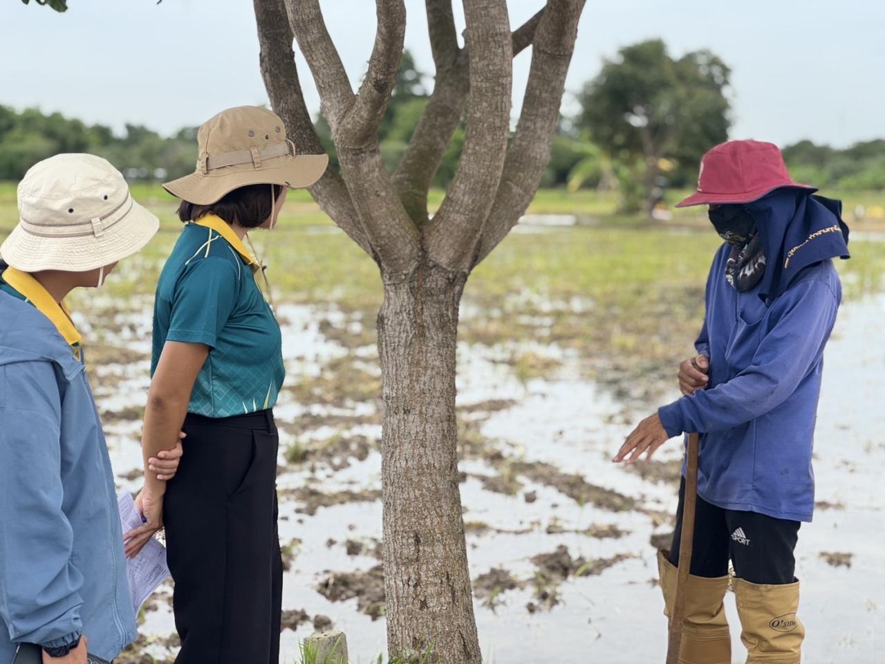 ภาพประกอบที่ 1