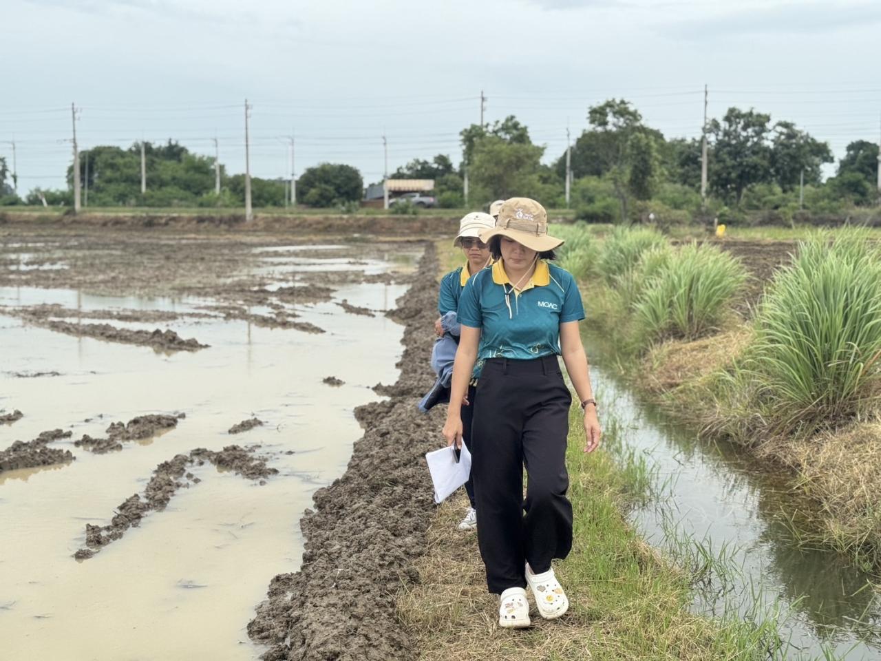ภาพประกอบที่ 2