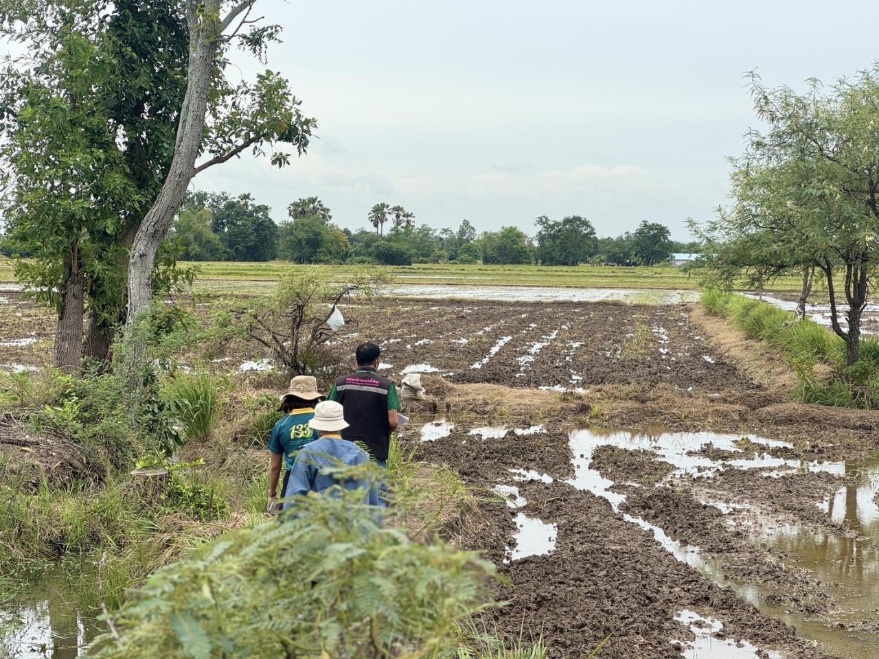 ภาพประกอบที่ 3