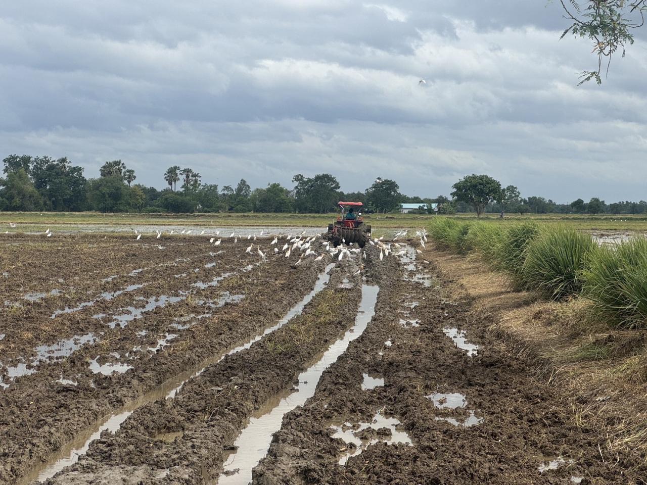 ภาพประกอบที่ 4