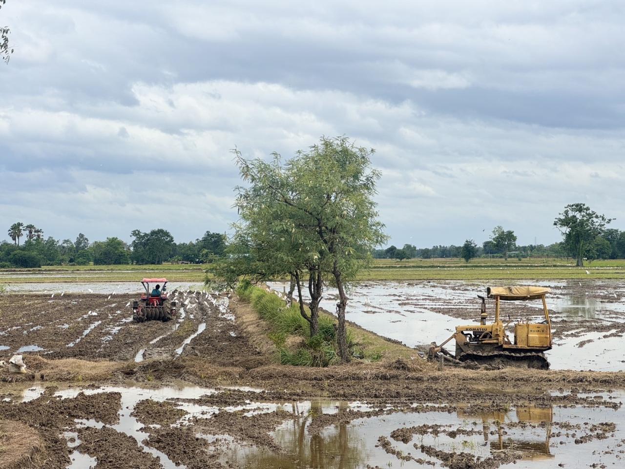 ภาพประกอบที่ 5
