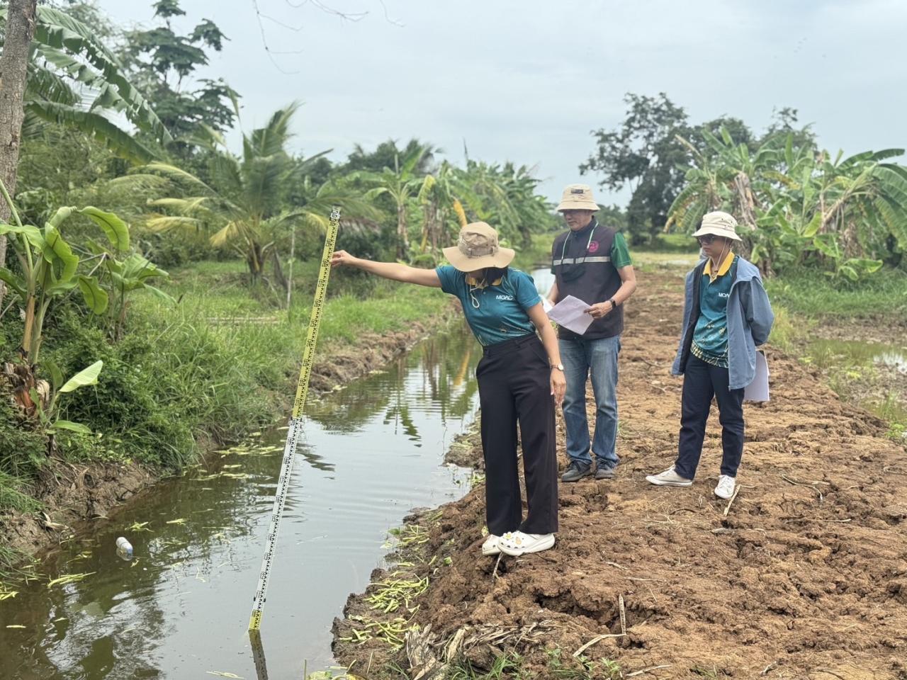 ภาพประกอบที่ 6