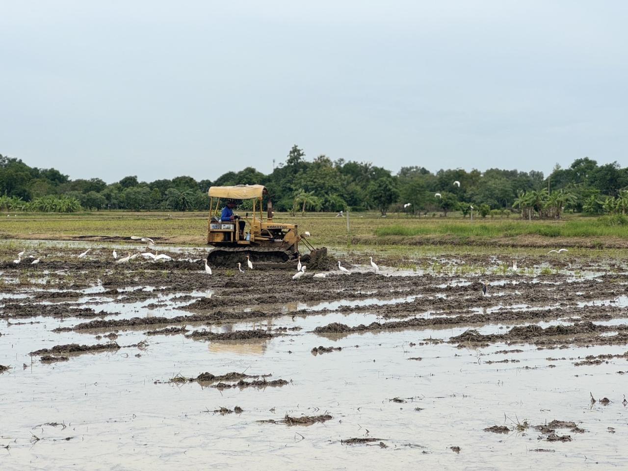 ภาพประกอบที่ 7