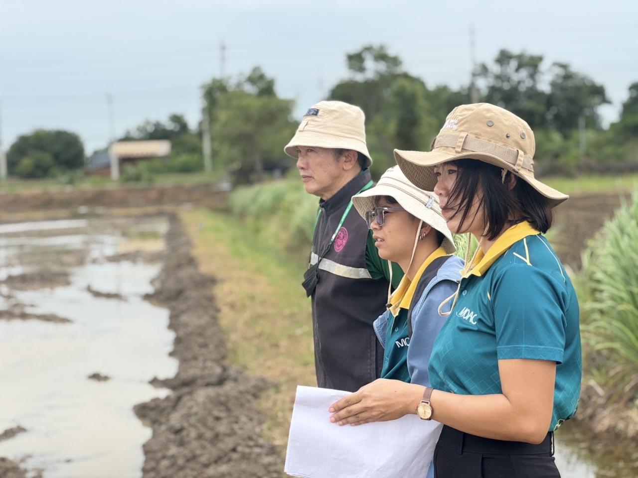 ภาพประกอบที่ 8