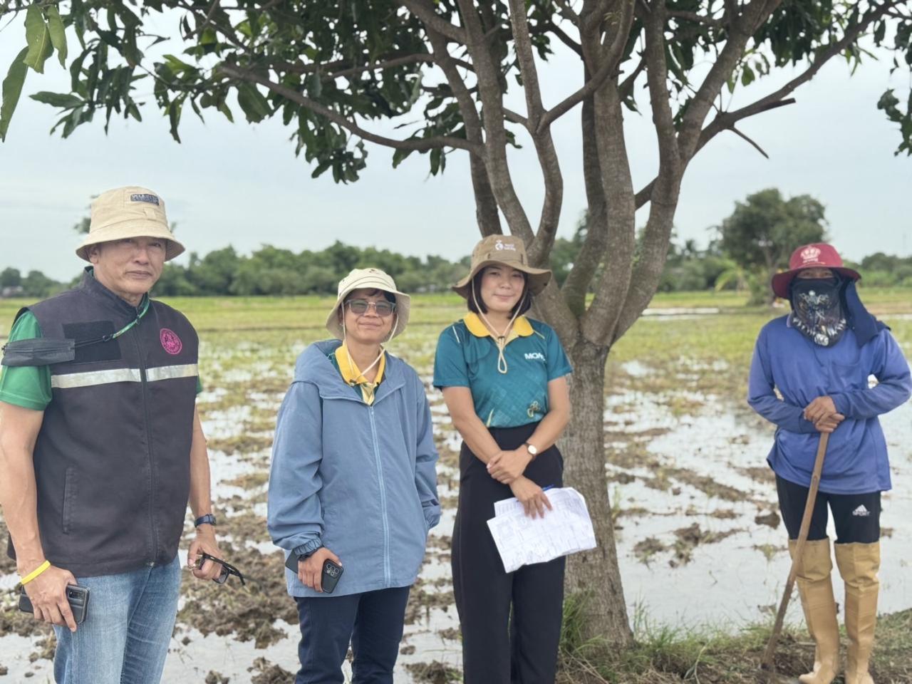 ภาพประกอบที่ 9