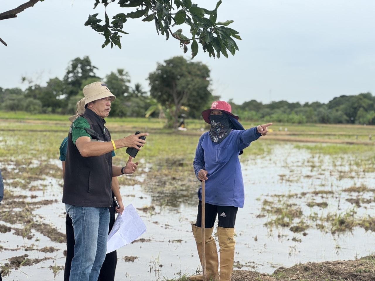 ภาพประกอบที่ 10