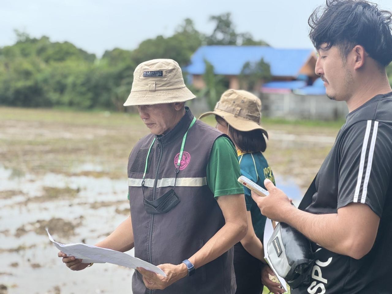 ภาพประกอบที่ 11