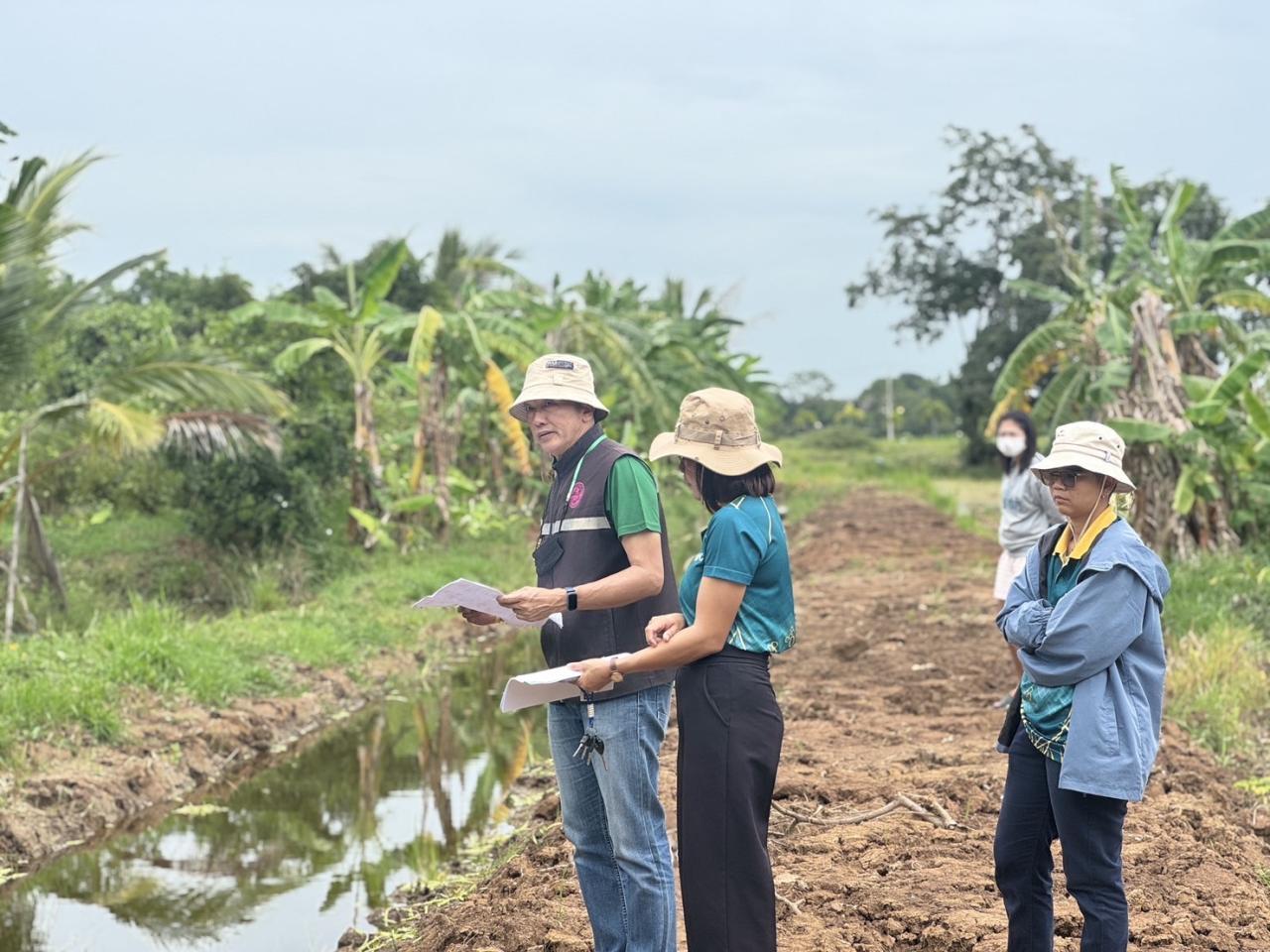 ภาพประกอบที่ 14
