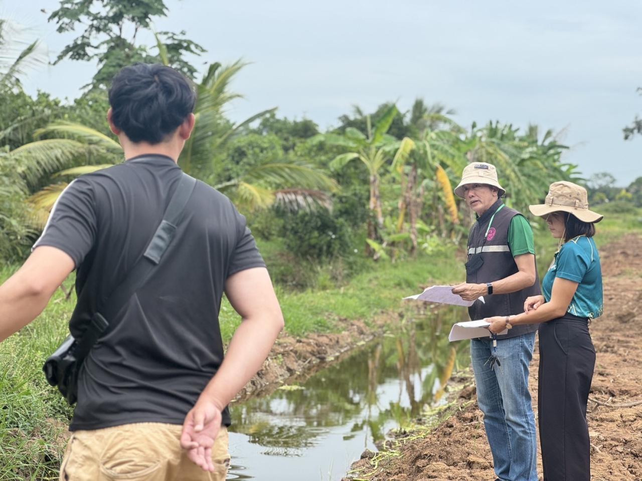 ภาพประกอบที่ 15