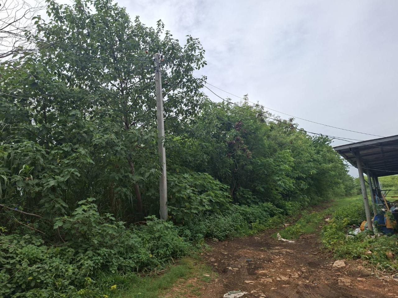 ภาพประกอบที่ 0