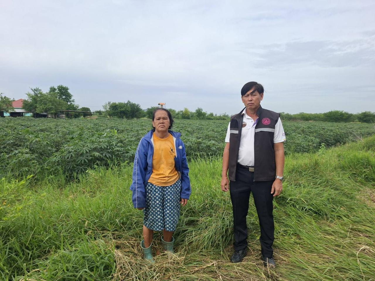 ภาพประกอบที่ 2