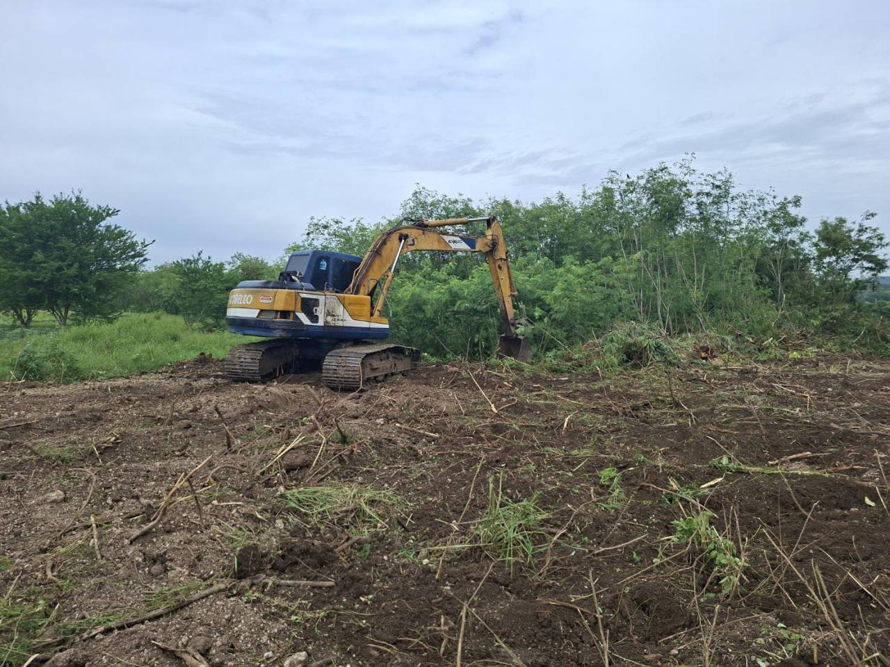 ภาพประกอบที่ 4