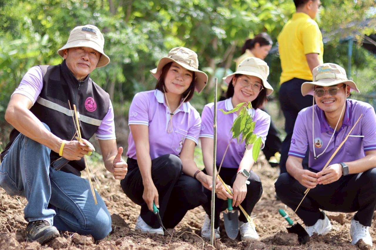 ภาพประกอบที่ 0