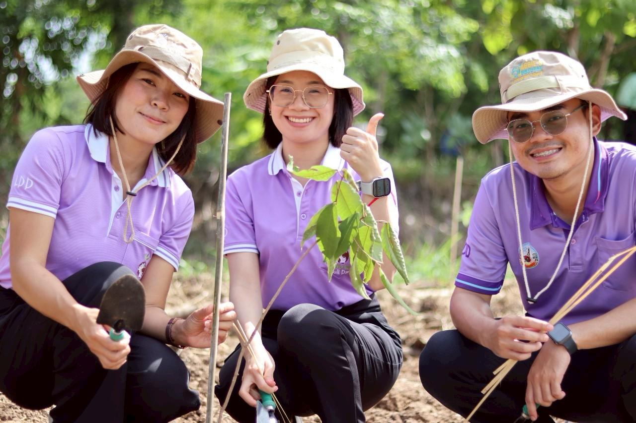ภาพประกอบที่ 1