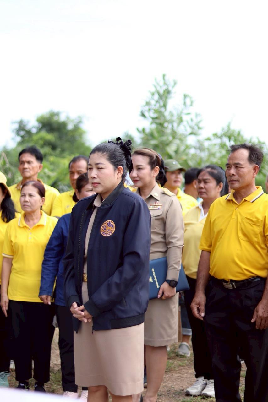 ภาพประกอบที่ 8