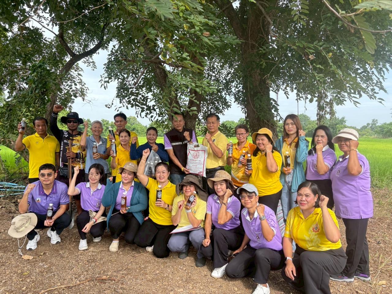 ภาพประกอบที่ 11