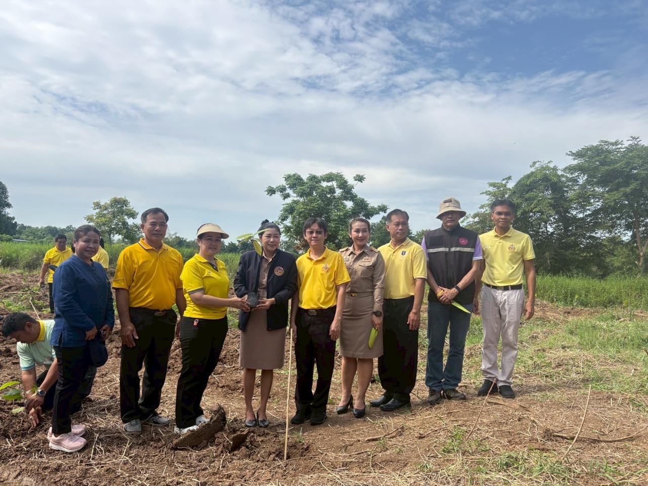 ภาพประกอบที่ 12