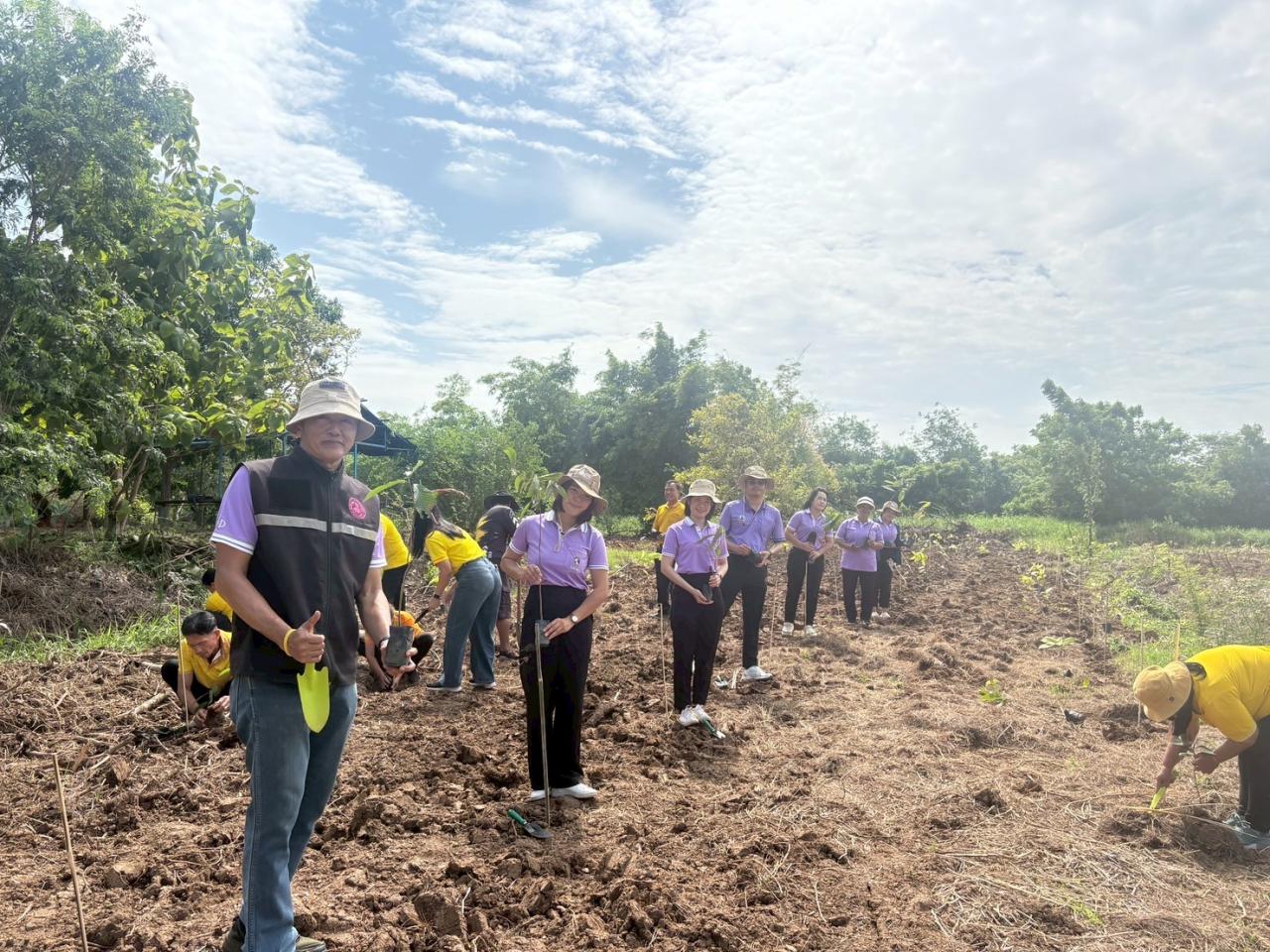 ภาพประกอบที่ 13