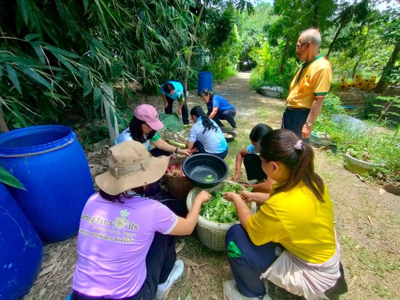 ภาพประกอบที่ 12
