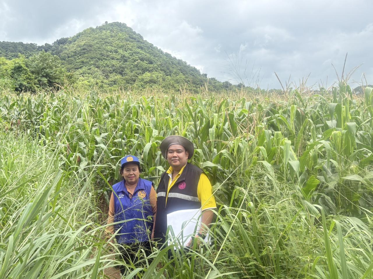 ภาพประกอบที่ 8