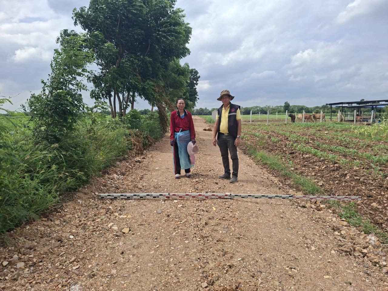 ภาพประกอบที่ 2