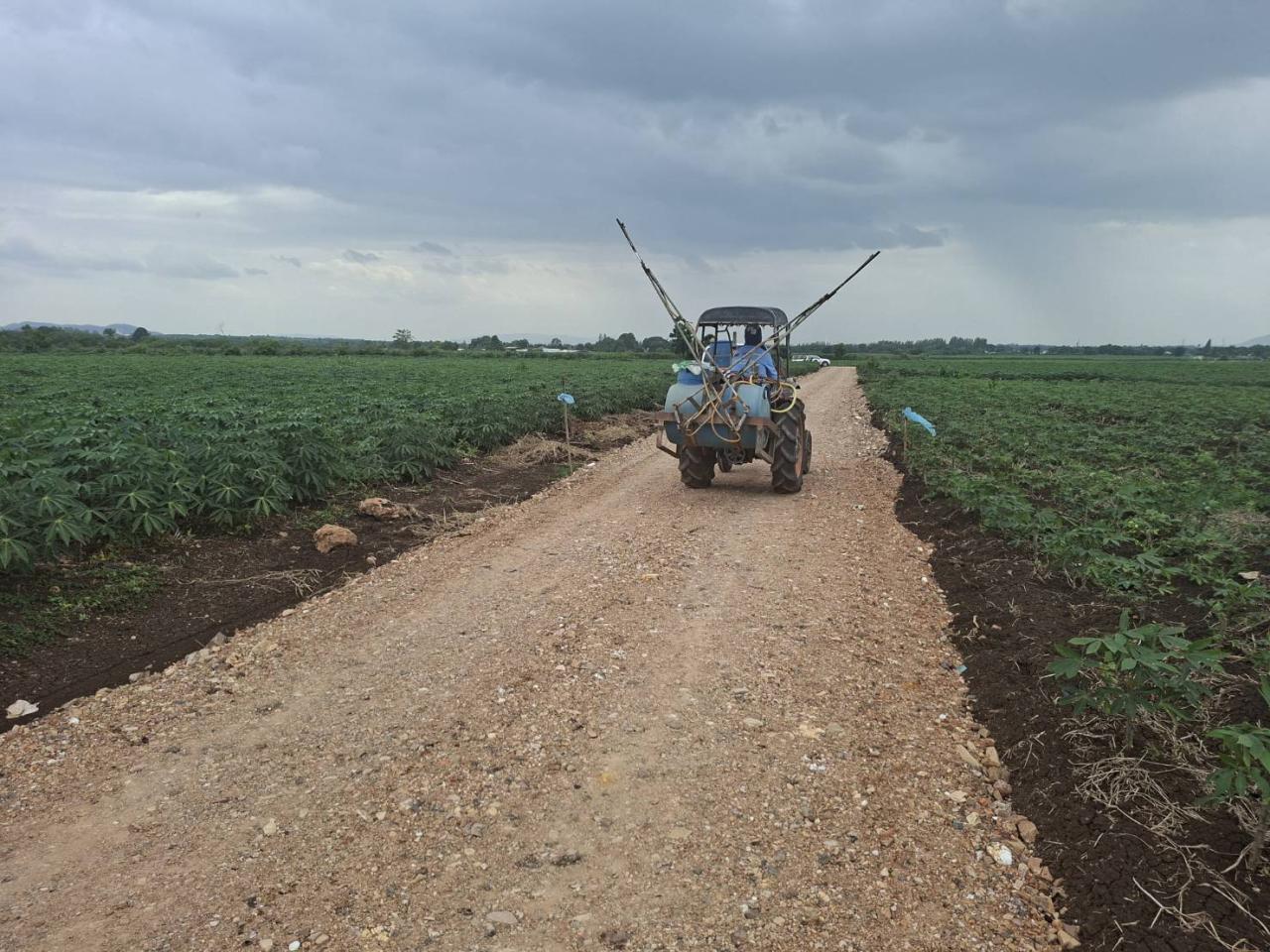 ภาพประกอบที่ 4