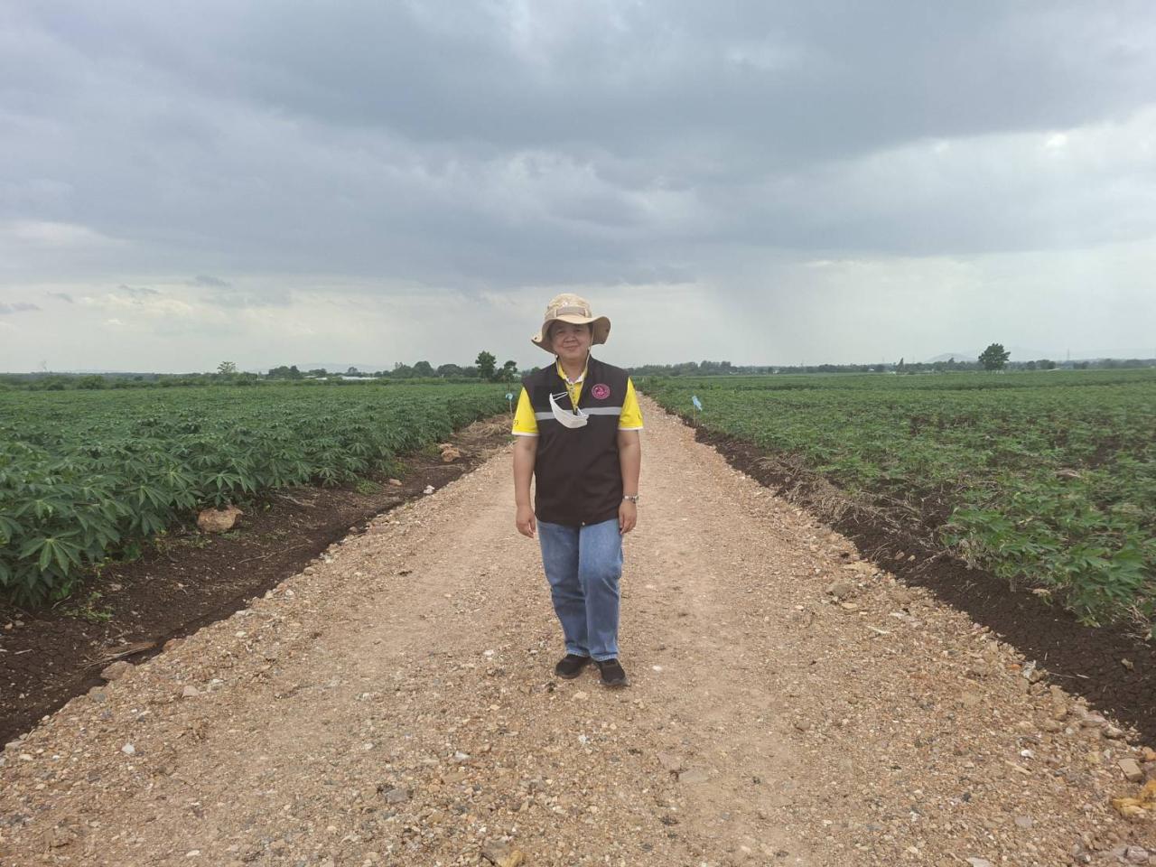 ภาพประกอบที่ 5