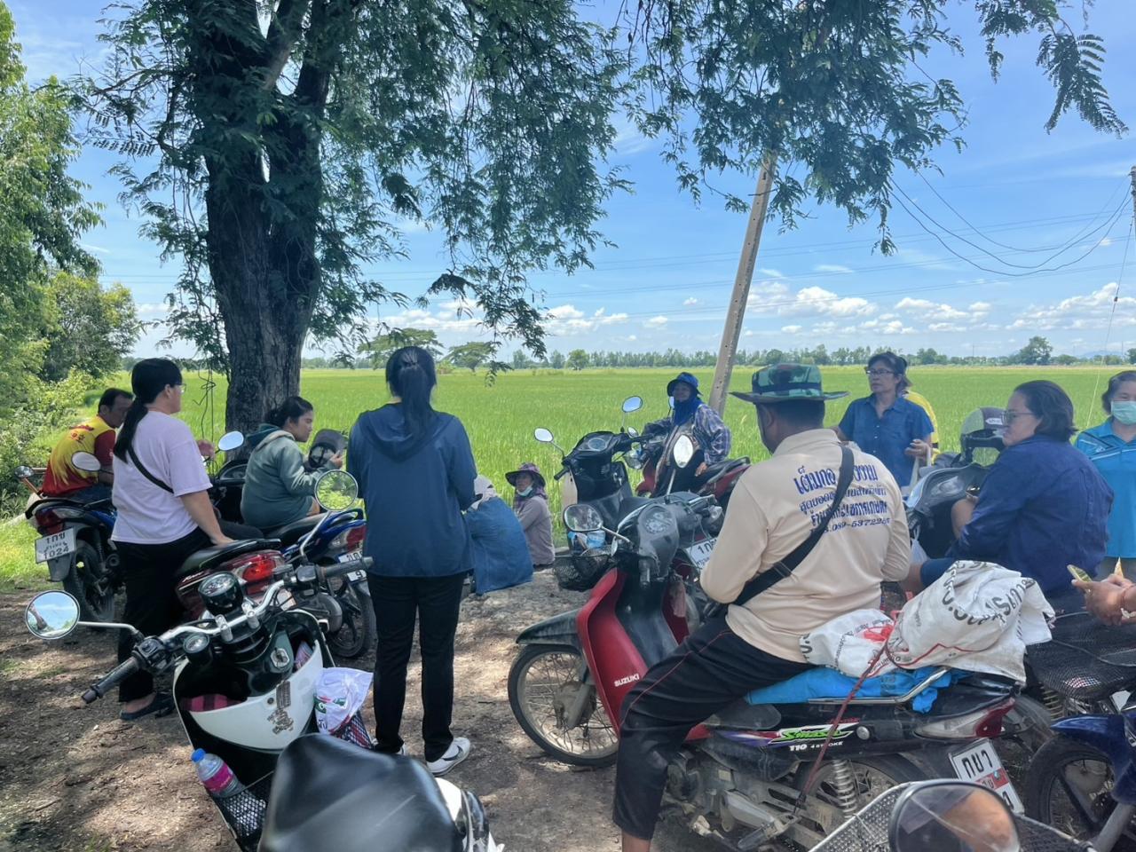 ภาพประกอบที่ 4