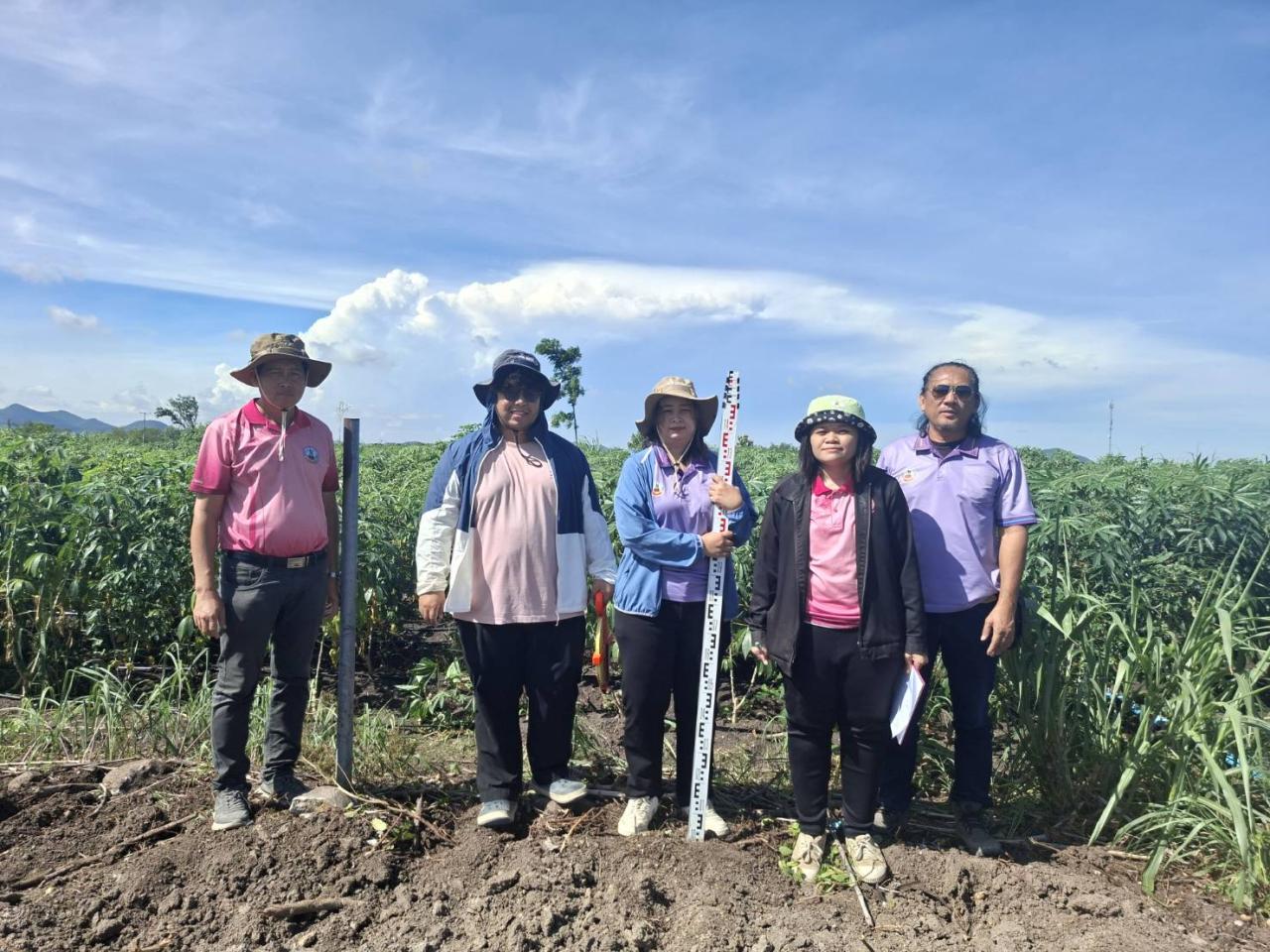 ภาพประกอบที่ 1