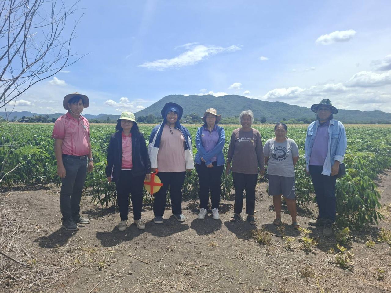 ภาพประกอบที่ 19