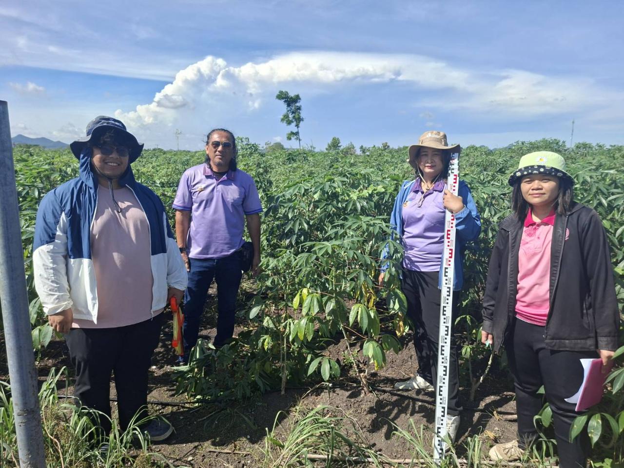 ภาพประกอบที่ 23